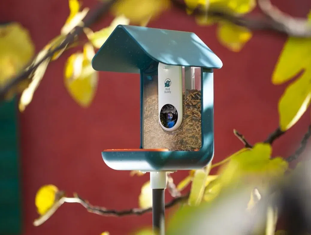 Bird Buddy推出带有智能摄像头的喂鸟器。（互联网）