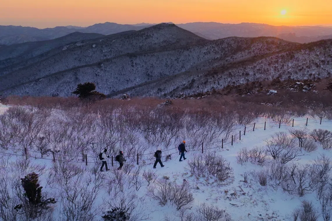 登山节目对参与艺人和幕后工作人员都是一大考验。（Netflix提供）