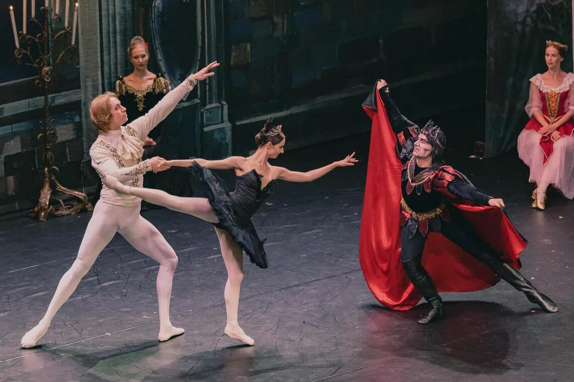 《天鹅湖》中，白天鹅奥杰塔和黑天鹅奥吉莉亚是截然对立的两个角色，由同一舞者饰演别具挑战。（主办单位提供）