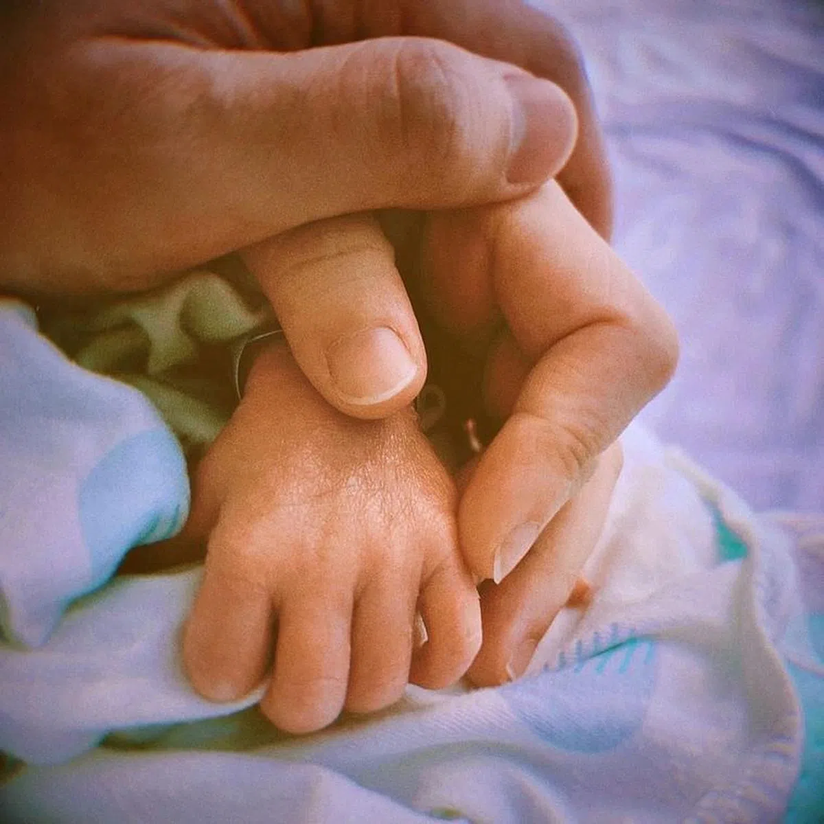 严正岚的儿子提早来报到。（互联网）