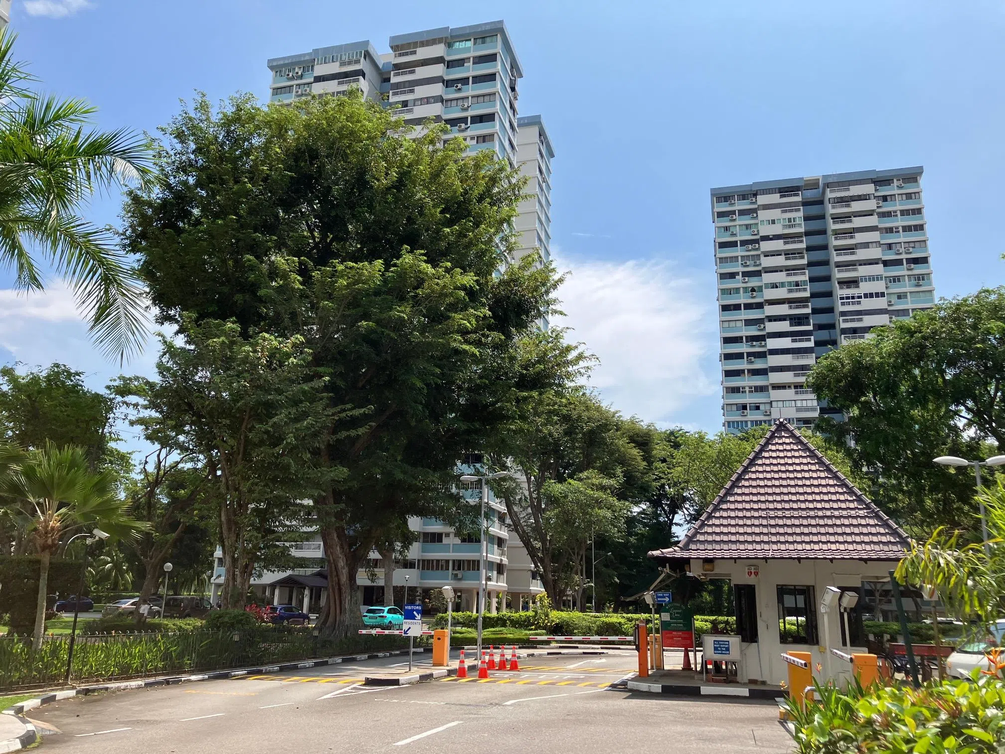 经过一轮搜找，灭虫专家发现蜂巢就筑在保安室对面的一棵大树上。（唐家鸿摄）