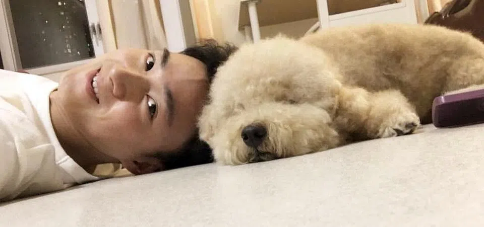 周嘉洛是爱狗之人，爱犬棚棚曾参演《开心速递》。（取自艺人IG）