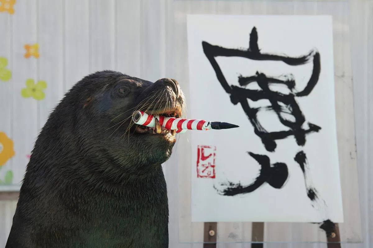 18岁的Leo与它的“寅”字书法合影。Leo从2020年11月起，就一直在为“新春试笔”进行练习。他在2021年曾为辛丑牛年“提笔”，写下硕大的“丑”字。（法新社）