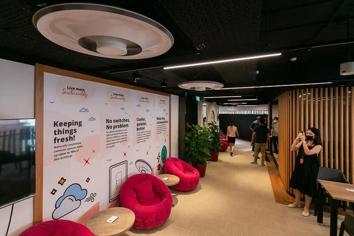 为节省所须电力，办公楼采用可根据空间内人数，自动调节灯光人工智能照明系统，并安装了太阳能冷气机、风扇与灯柱。（张荣摄）