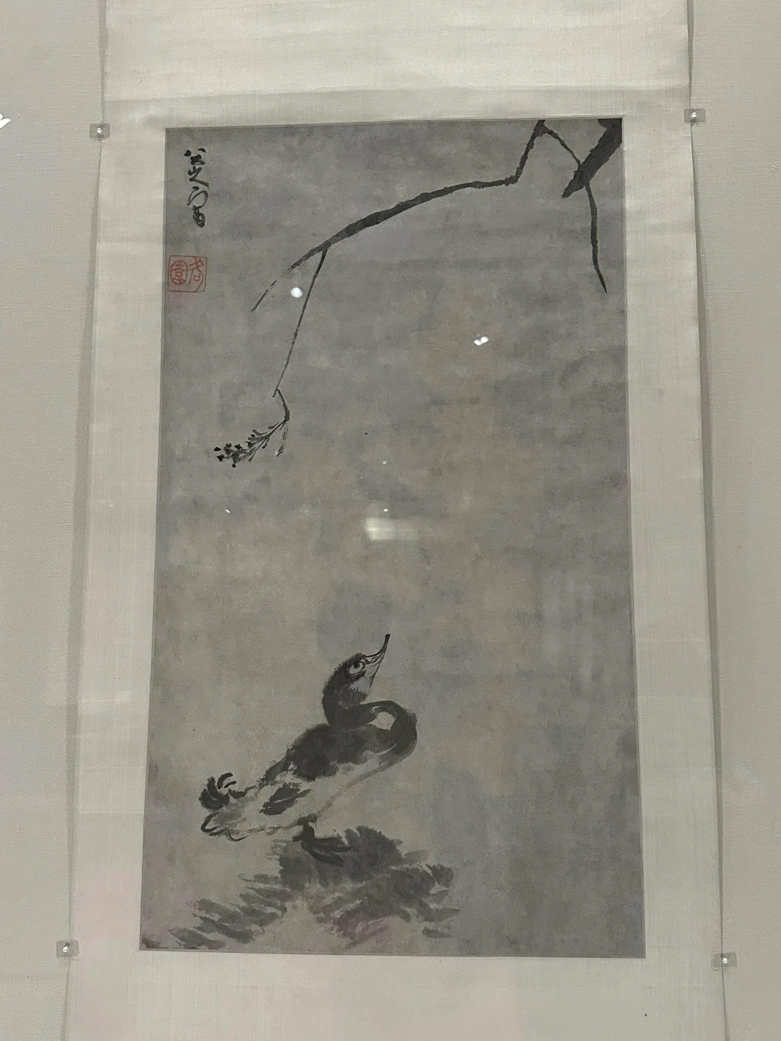 香港艺术馆虚白斋藏中国书画馆的“古文青生涯规划”展出八大山人水墨画。（黄向京摄）