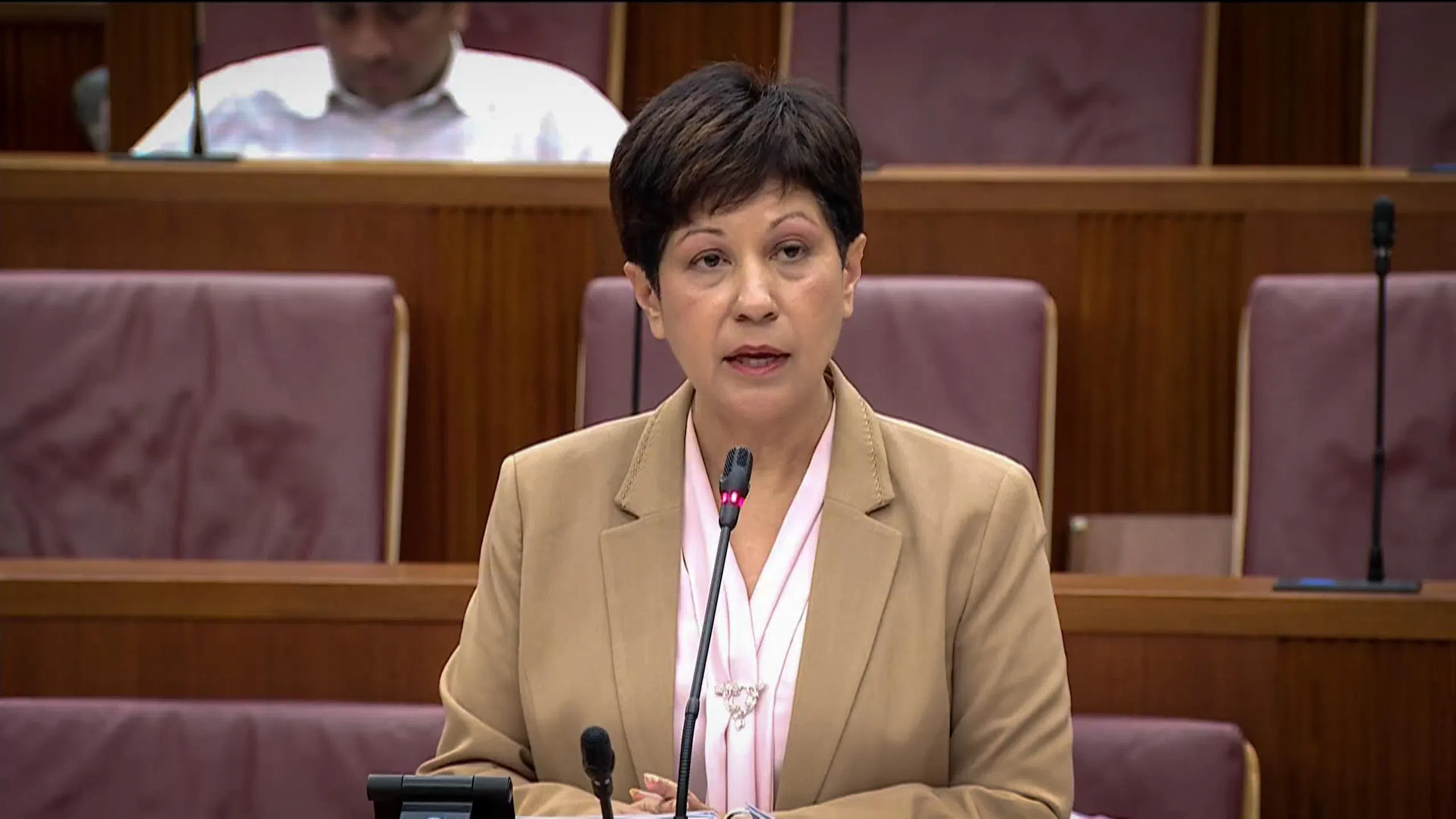 总理公署部长英兰妮说，婚育观念须要重塑，政府将鼓励正面的育儿心态，缓解父母“完美育儿”的压力。（gov.sg视频截图）