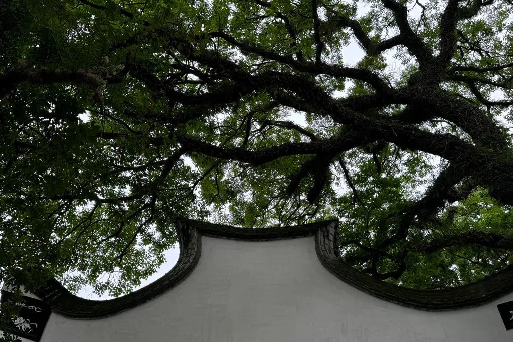 陈煜：福州西湖公园