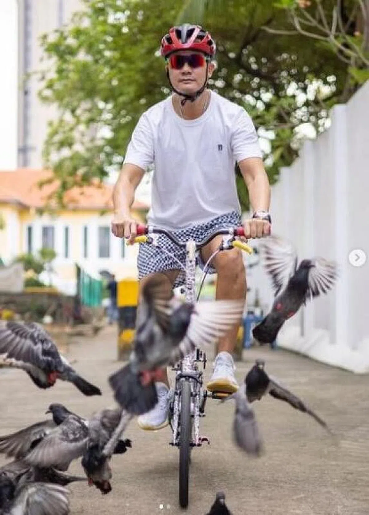 陈汉玮：“骑脚踏车能放松心情。”（图 / 艺人IG） 