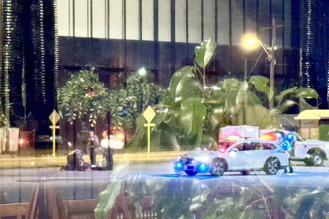 两名警察对少年使用电击枪，但无法把他制服，他反而冲向第三名警察，结果被开中一枪倒地。（澳洲新闻网视频截图）