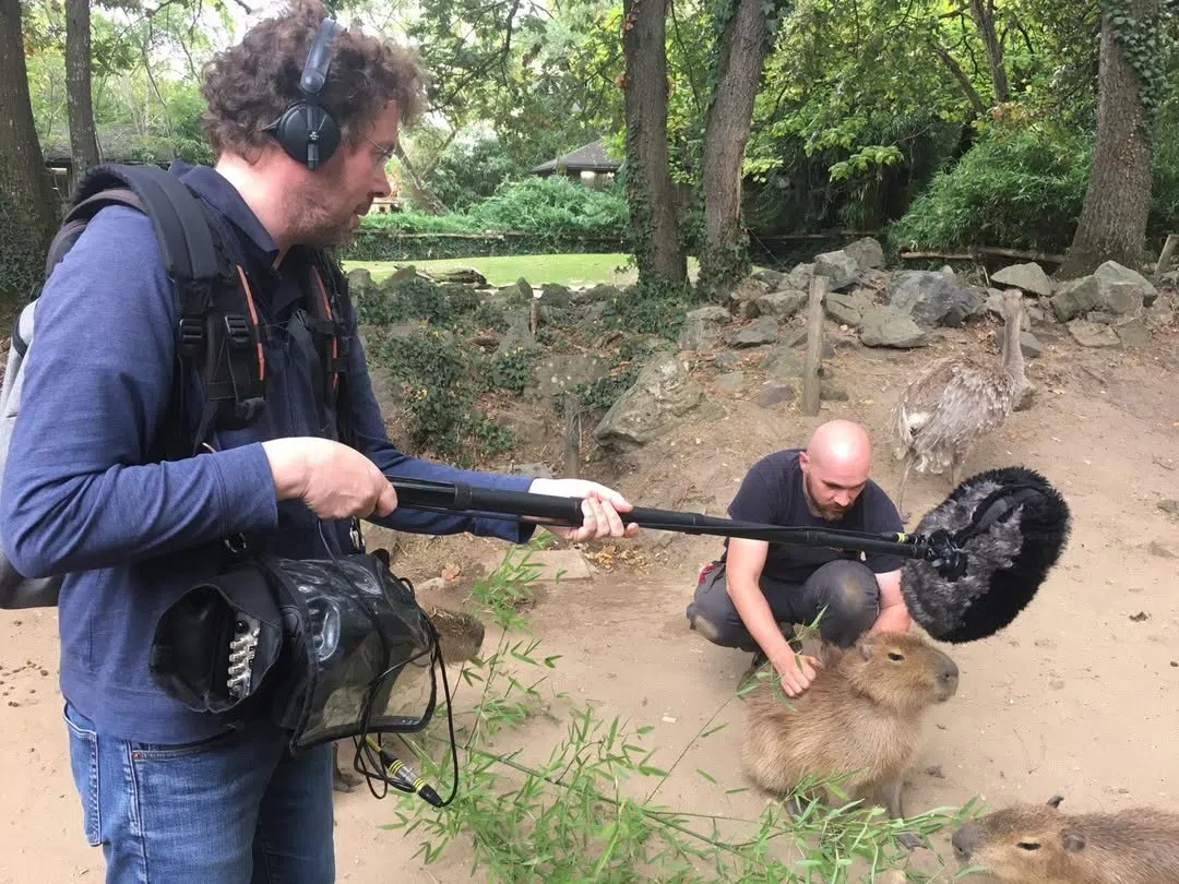 音响师在尝试录下水豚的声音。（取自Gints Zilbalodis IG）