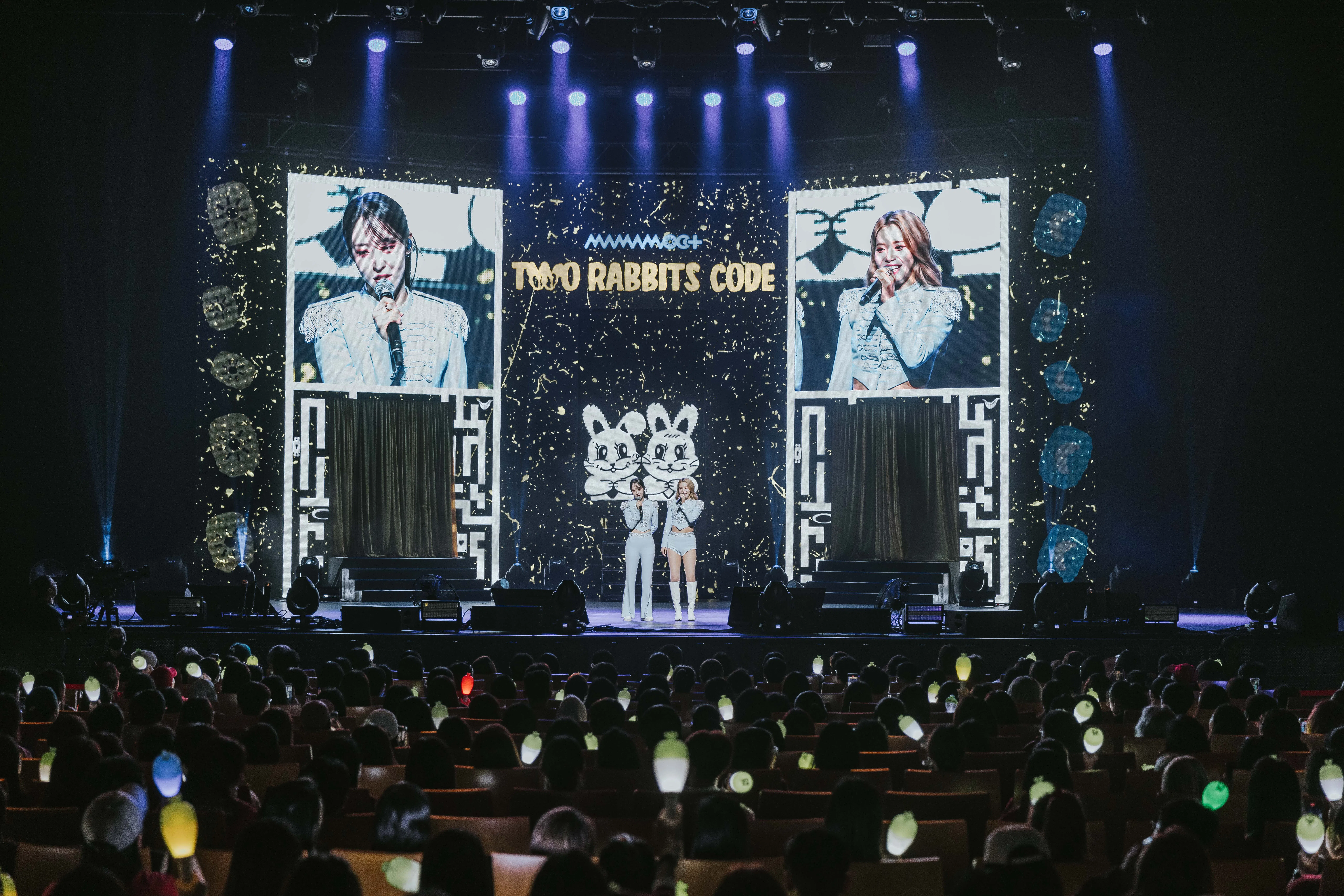 粉丝的应援棒神似萝卜，放眼望去皆是一片“萝卜海”。（CK Star娱乐提供）