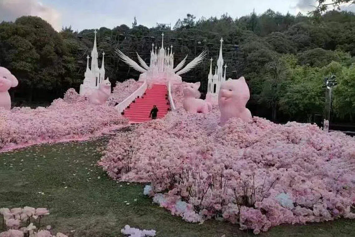 网民疯传疑似黄子韬的求婚现场照。（互联网）