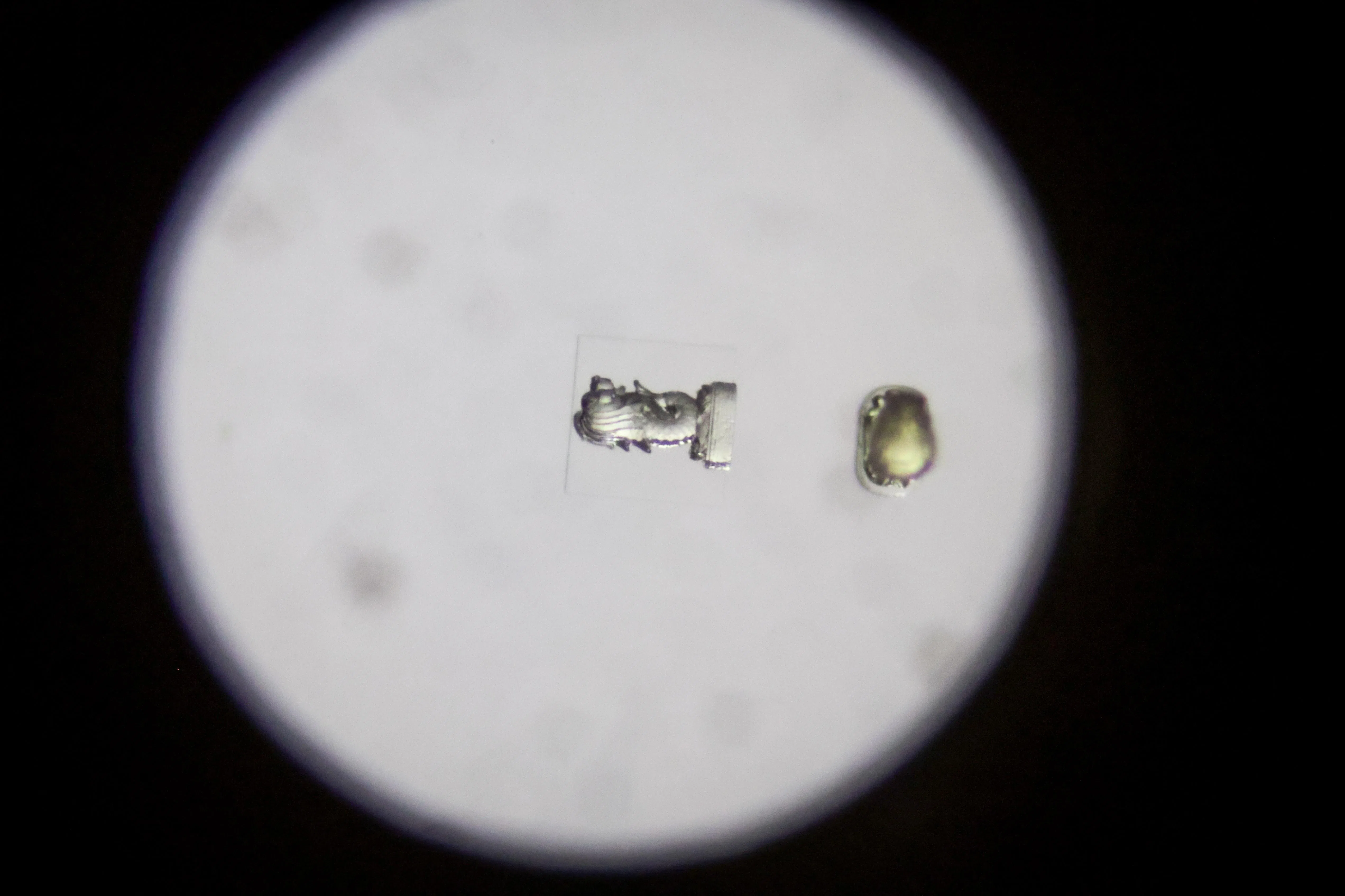 研究人员现场展示亚微米级3D打印机的精密加工能力。打印机在10分钟内即可制成一个微尘大小的“鱼尾狮”模型，尺寸比一粒米小7800倍，但在显微镜下仍能清晰呈现细节。（叶振忠摄）