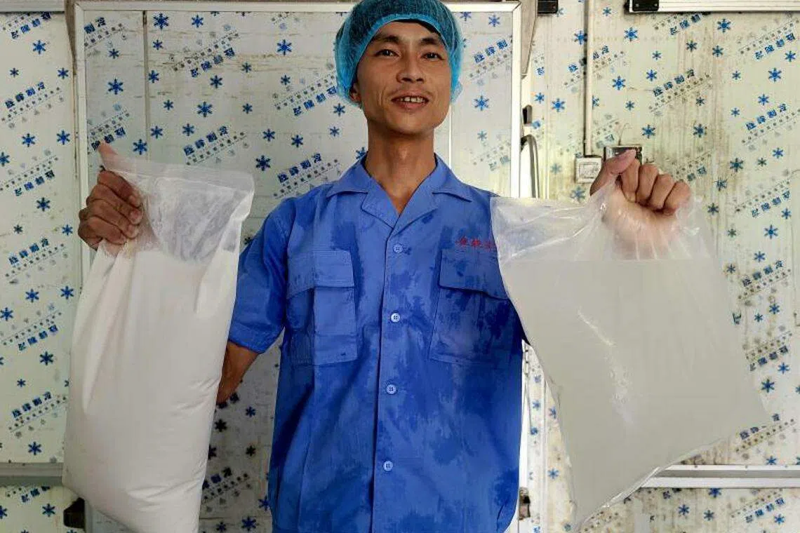 中国椰子水需求近年来持续扩大，使过去属于工业边角料的毛椰水成为“香饽饽”，带动毛椰进口需求增加。毛椰是去掉外果皮的老椰。中国市面供加工的毛椰主要进口自东南亚国家。（中新社）