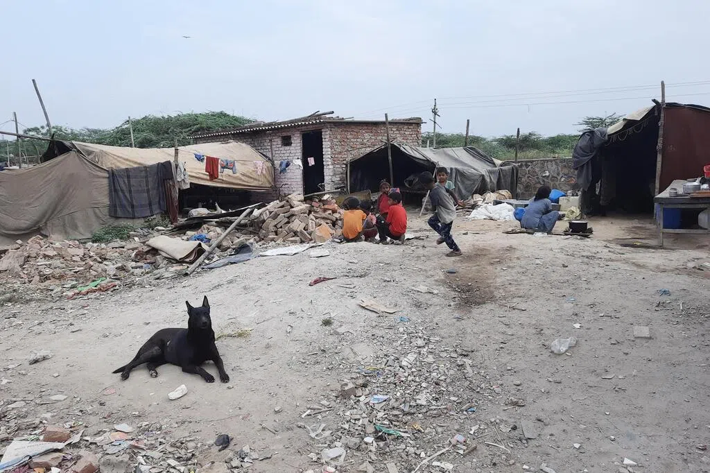 印度抽检发现一批狂犬病疫苗不合格 疑为假冒品