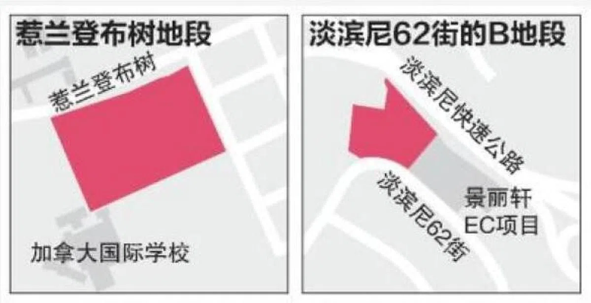 政府推出惹兰登布树（Jalan Tembusu）和淡滨尼62街（Tampines Street 62）两幅正选名单地段招标，总共可建造约1540个住宅单位。（早报制图）