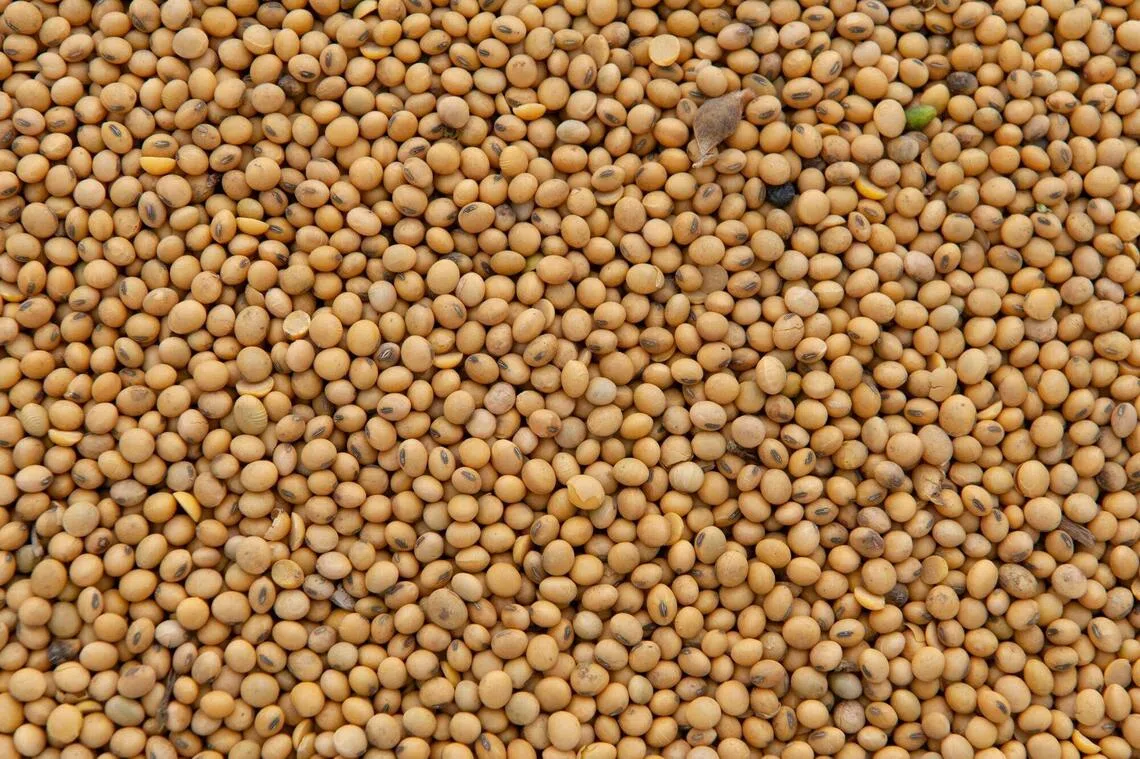 中国据报再买四船美国大豆| 联合早报