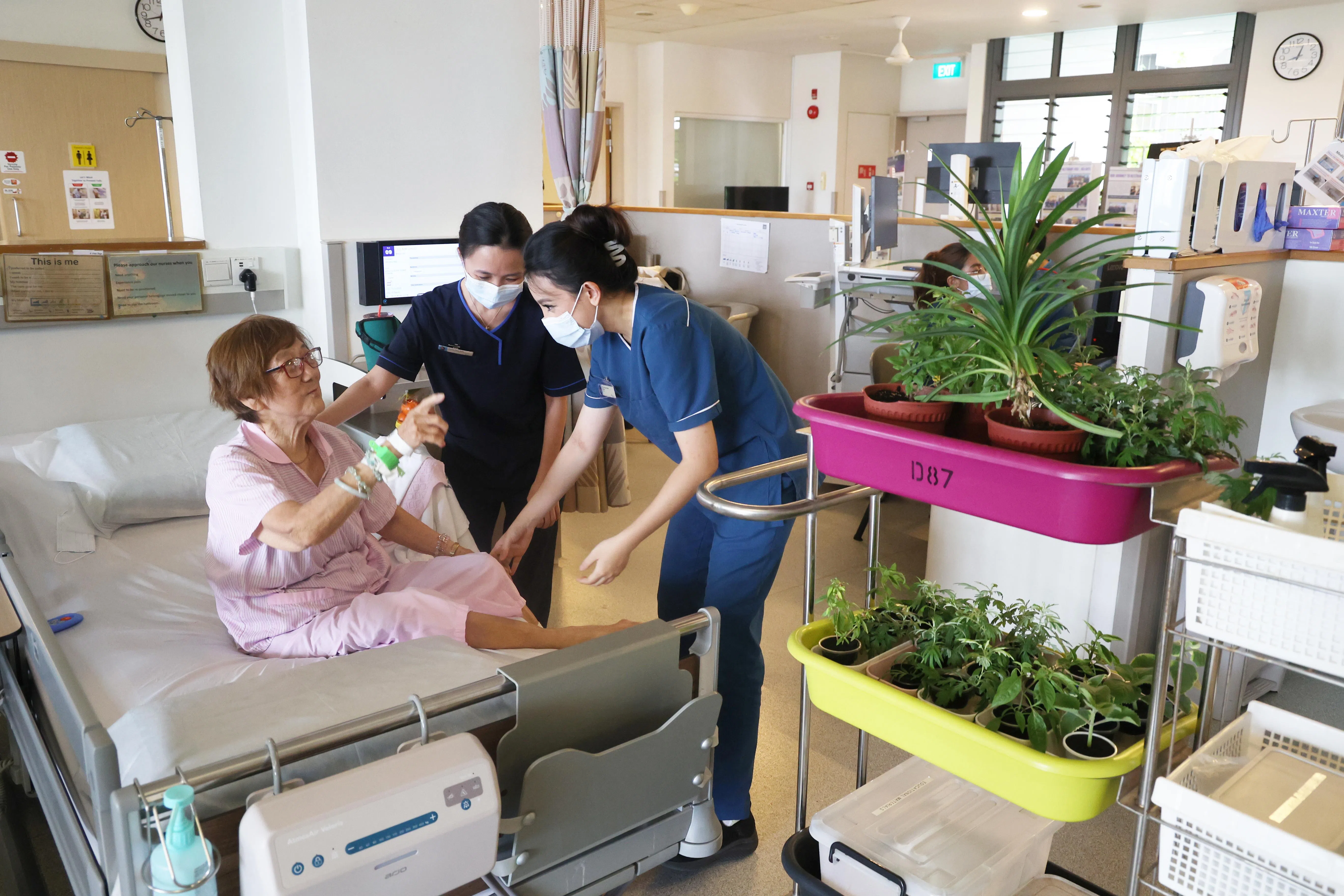 邱德拔医院复健服务中心高级职能治疗师江翠英博士（中）与高级护士艾莎（右）把植物带到病人身旁，鼓励他们下床参与简单活动，例如浇水、闻香或触摸植物。（蔡家增摄）