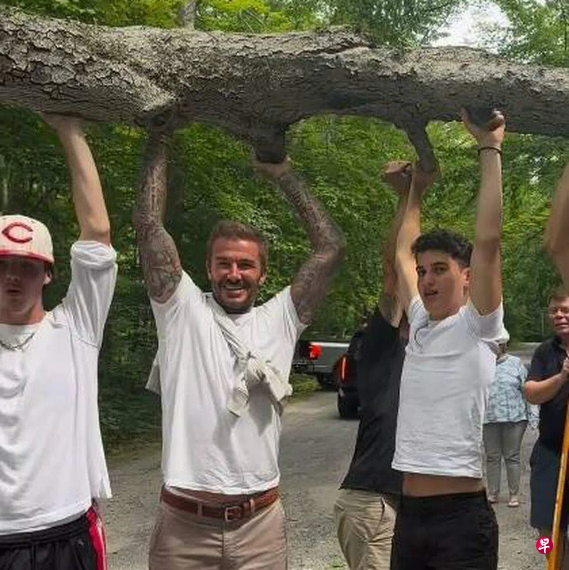 Beckham和“猫王”同框抬树帮忙清除路障| 联合早报