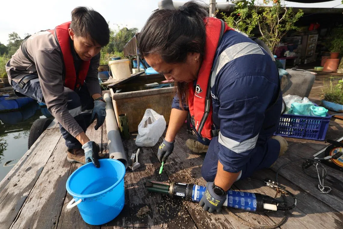 水质监测感应器每两周须清理一次，工作人员会用牙刷把附着在感应器上的沉淀物刷掉。（郑一鸣摄）