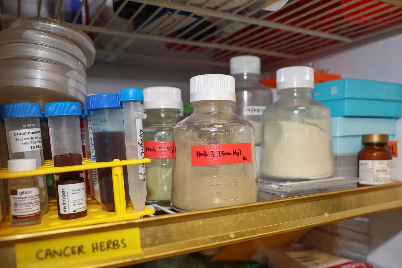 在南洋生物科技和南大的联合实验室里，存有不同种类的草本提取物，用于抗癌等功能研究。（陈心媛摄）