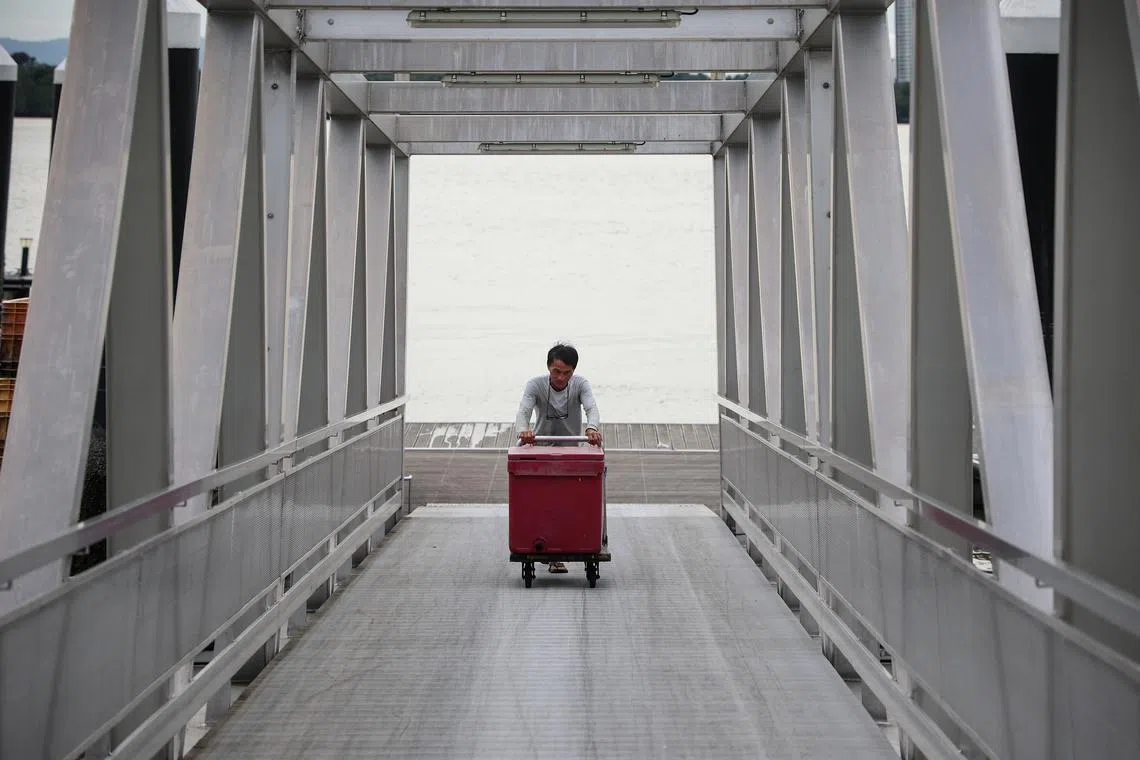 把这一箱鱼送上货车，林鑫源就算是收工了。（关俊威摄）