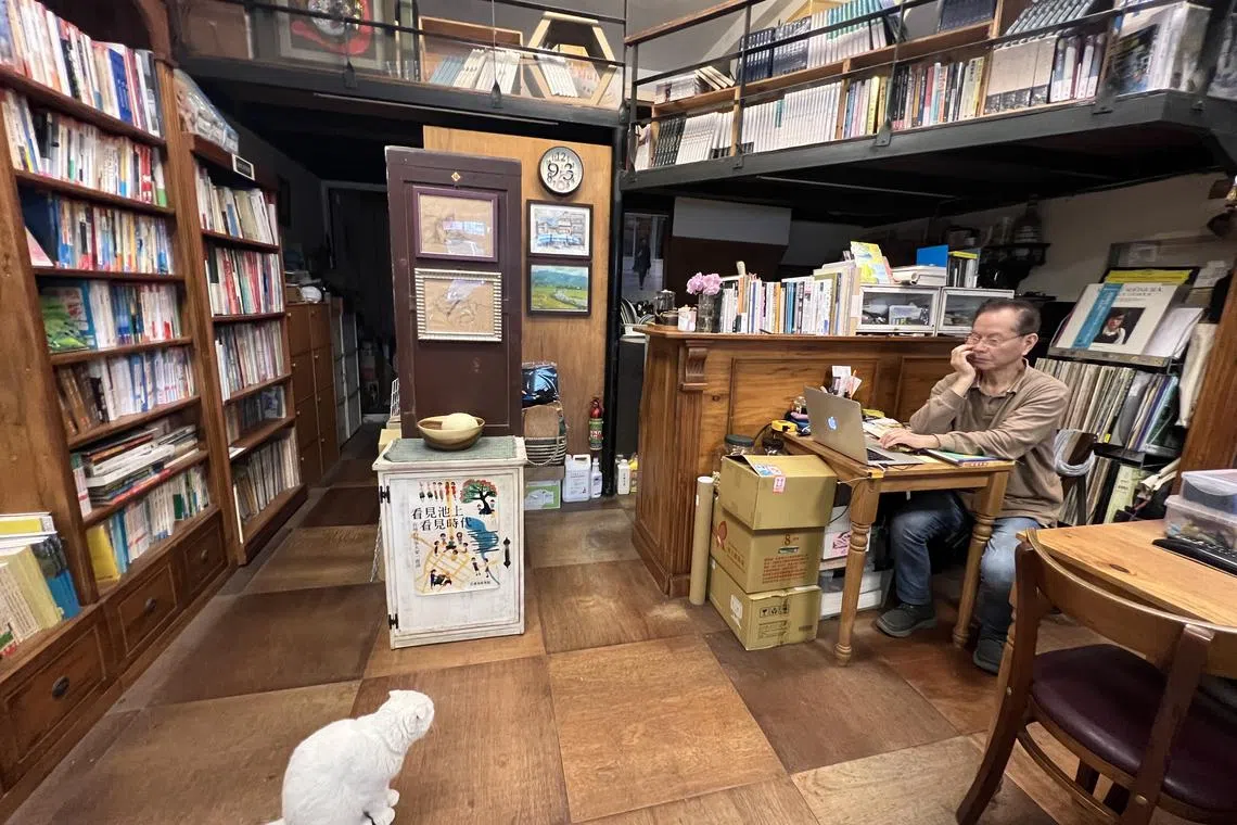 猫似乎成了独立书店的标配。（叶孝忠摄）