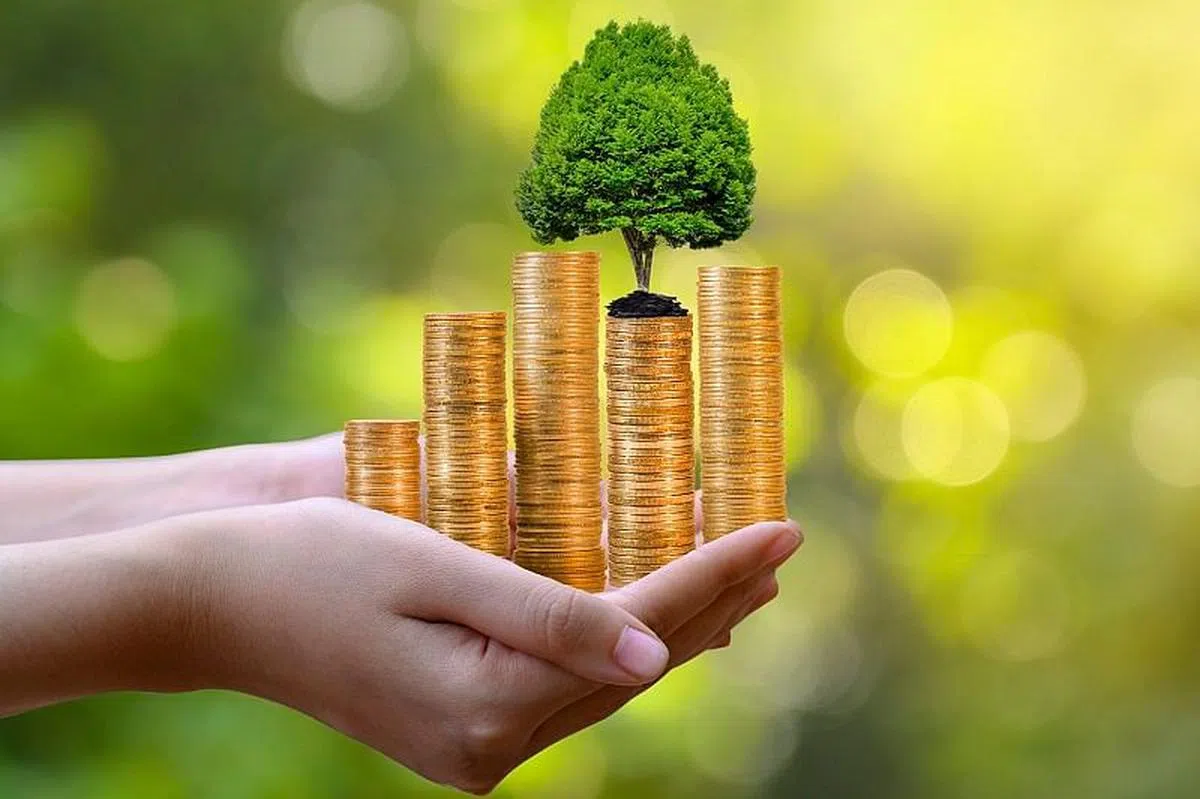 散户要如何把握可持续发展大趋势所带来的潜在机遇呢？（图／GettyImages）