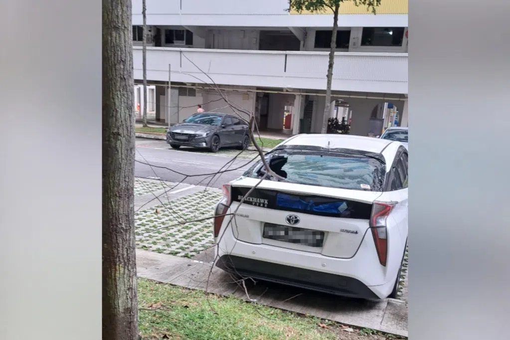 义顺树枝突断裂 砸穿汽车挡风镜