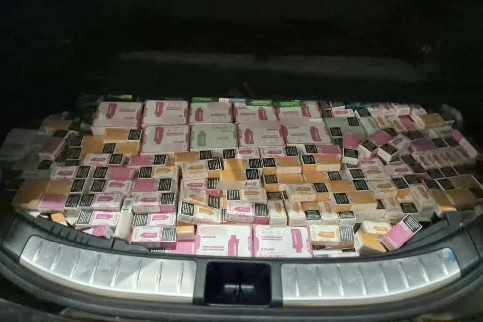 赖文梁涉嫌走私2830个电子烟和相关部件进新加坡，星期三被控。