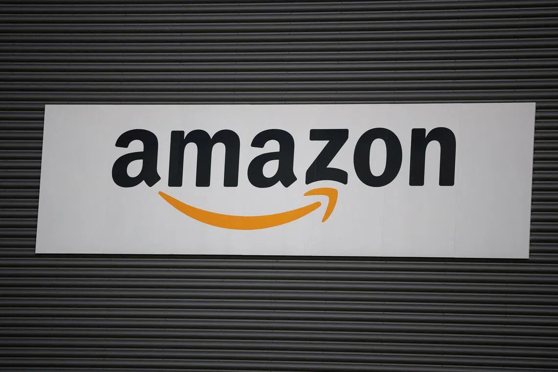 亚马逊计划在今年较迟时候正式启用它的卫星互联网服务。这个项目最近已获得为达美航空提供机上互联网服务的合同。（路透社）