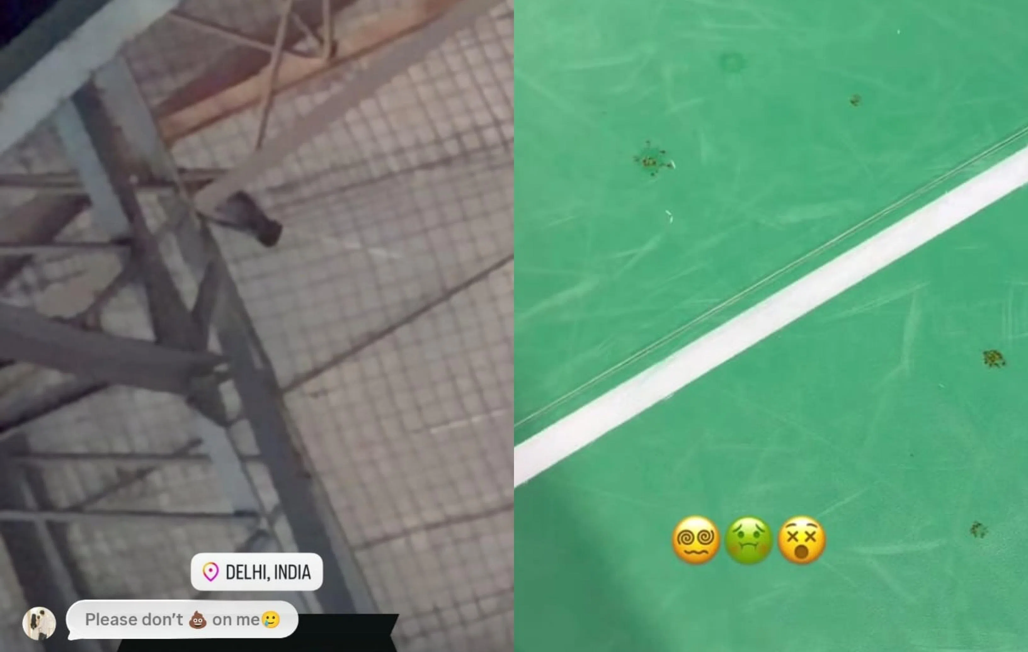 骆建佑拍到热身球场有鸟在屋顶下方逗留，地上鸟粪处处。（取自骆建佑Instagram）