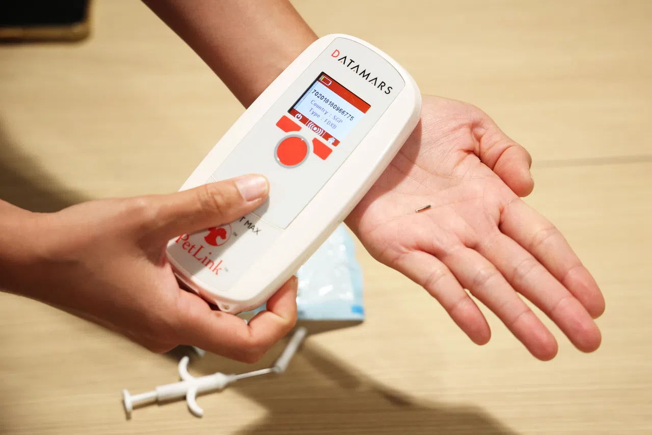 工作人员用扫描器确认晶片功能正常。（蔡家增摄）