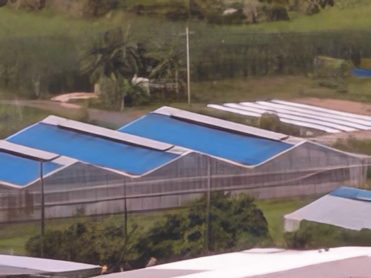 Magic V5在50倍数码变焦时，依然能拍出远距离建筑物的细节。（黄少伟摄）