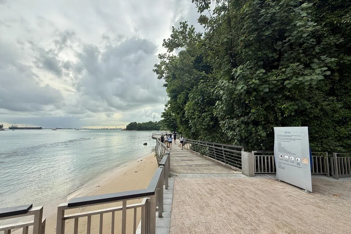 武吉慈明港景径长约300米，另一端就是拉柏多自然公园。（陈映蓁摄）