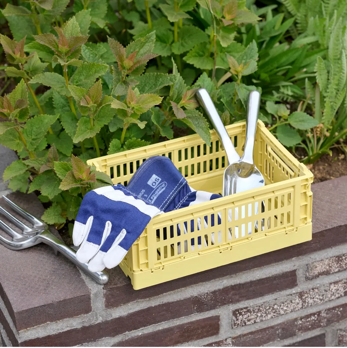 网红塑料收纳箱想装什么就装什么。（Hay提供）