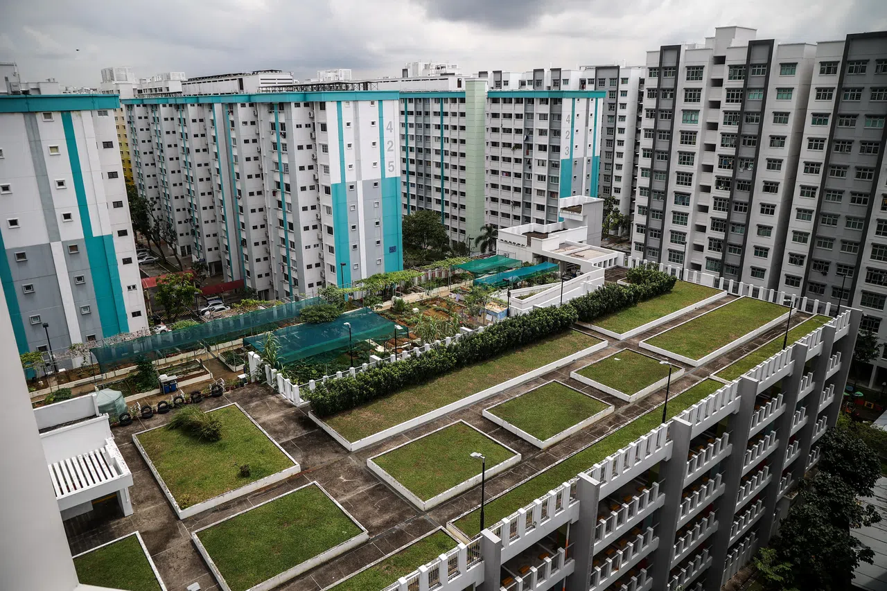 义顺11道第429座多层停车场顶层的社区花园，由义顺Orchid Vista居民联系网管理设立。（关俊威摄）