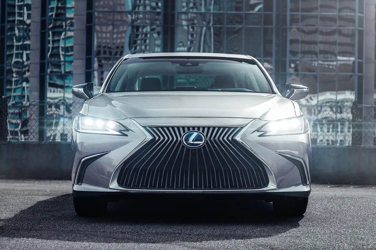 （图/商家提供）