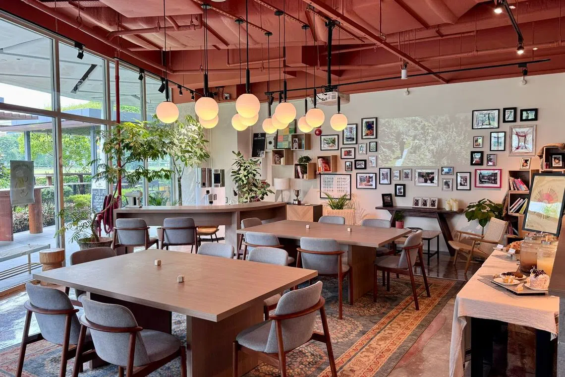 Guerilla Coffee在加冷河畔的旗舰店有宽敞空间和明媚风光，让食客可以暂时远离尘嚣。（咖啡馆提供）