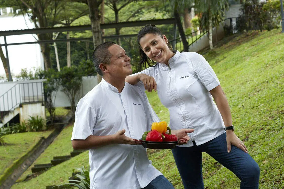 厨师夫妻档丹尼尔（Daniel）和塔玛拉·查韦斯（Tamara Chávez）在登布西山开设西班牙餐馆Tinto。（餐馆提供）
