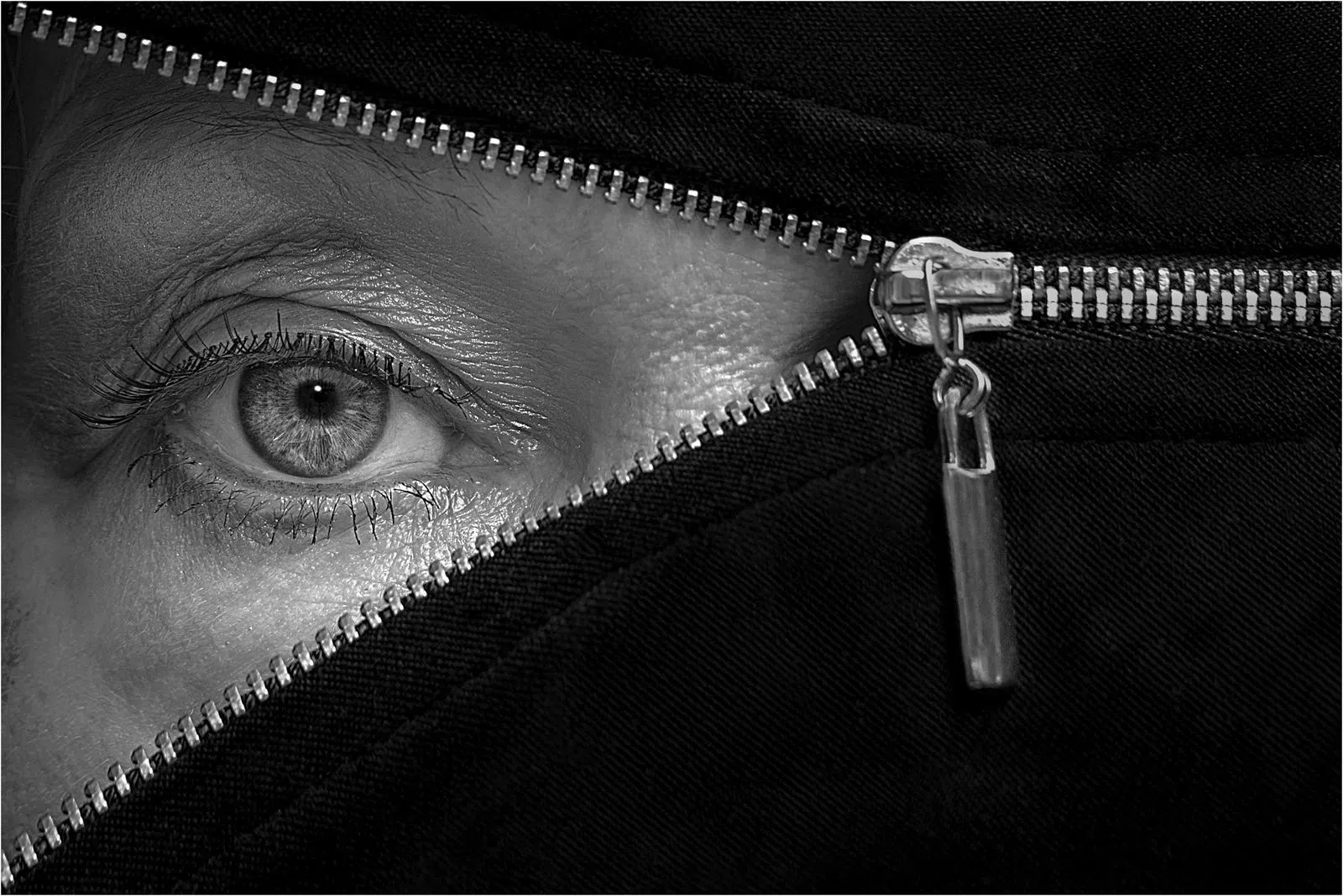 黑白公开组IAAP银奖：眼球谍报／Mike Woods（英国）（新加坡摄影学会提供）