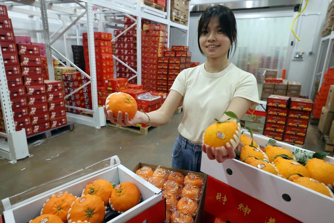 梁慧晴手里拿着韩国产的“红香”和“汉拿峰”，其中红香三公斤装售价49元5角，虽然比其他年柑价格高不少，但仍有不少人买来送礼。（邝启聪摄）