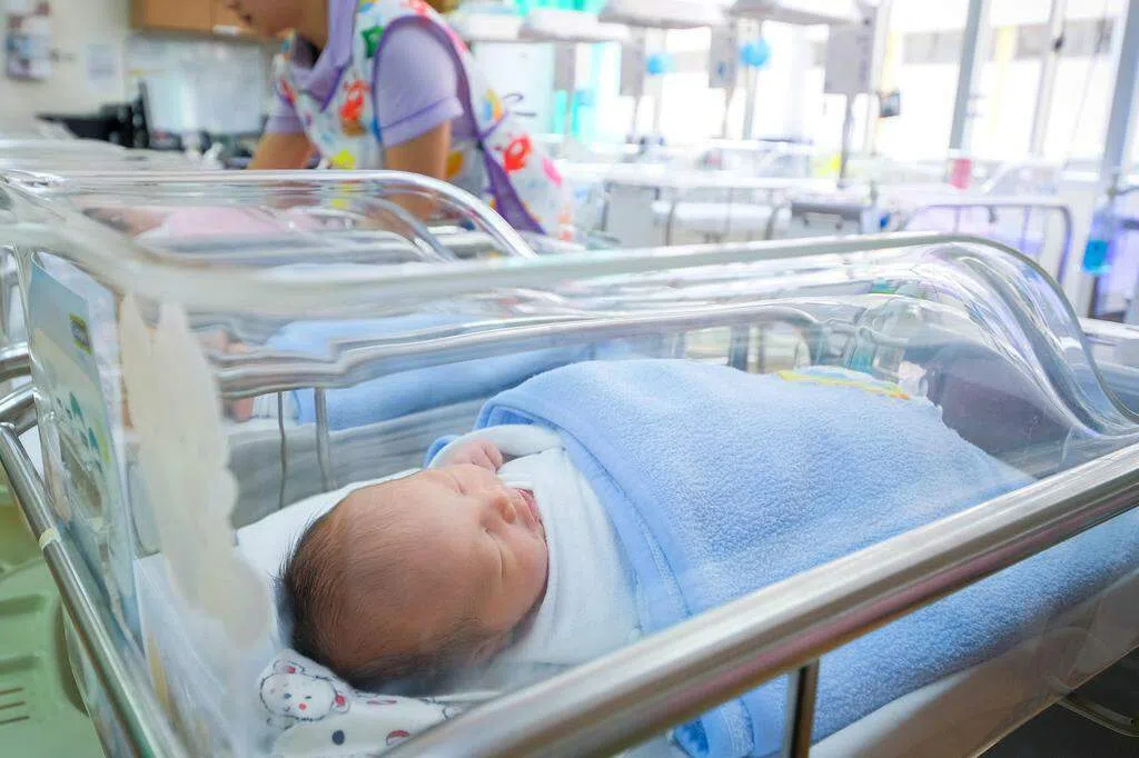 本地去年3万3541婴儿出生 1960年来新低