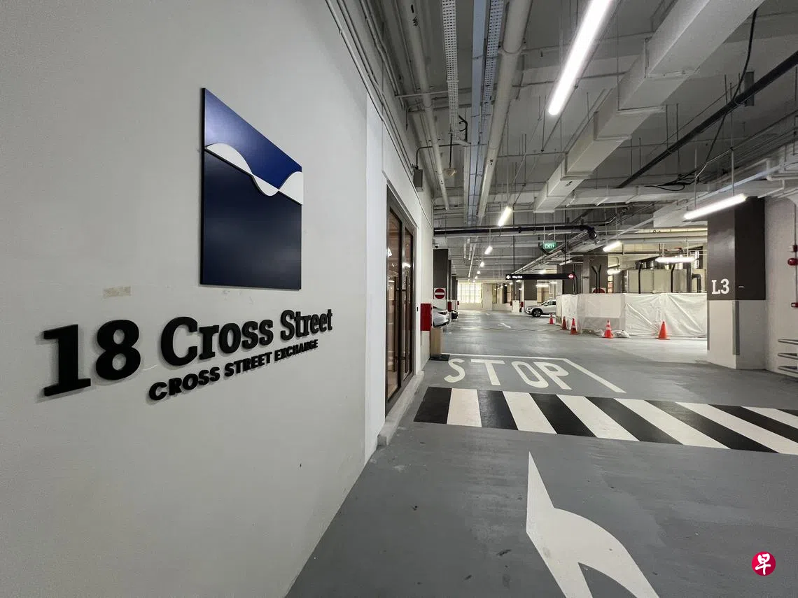 防止对我国敌意宣传政府屏蔽10外来虚假网站| 联合早报