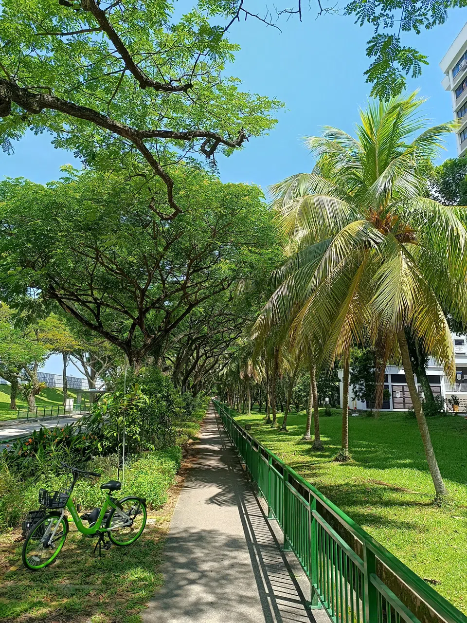 Note 12 Pro+的动态范围较广，照片层次较丰富。（黄少伟摄）