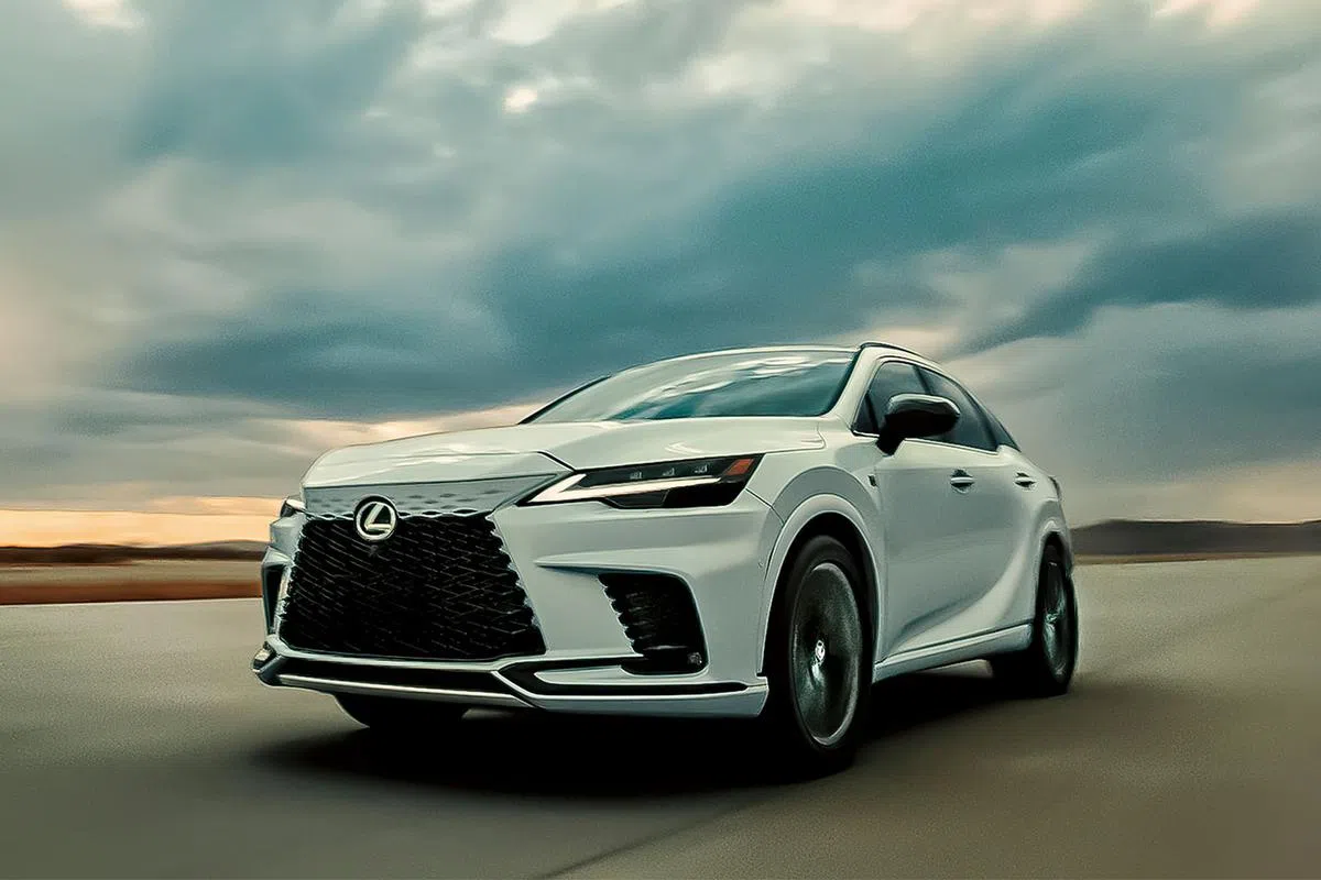 （图/商家提供）