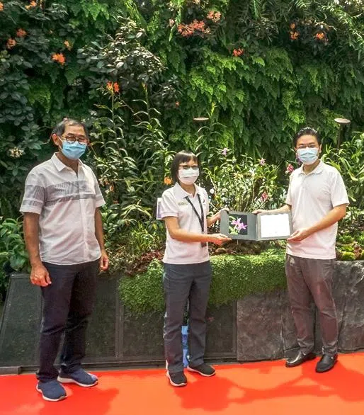 滨海湾花园2020年以黄循财（右一）的名字，为一个新品种的石斛兰命名，以感谢他对国家发展部的贡献。（取自滨海湾花园脸书）
