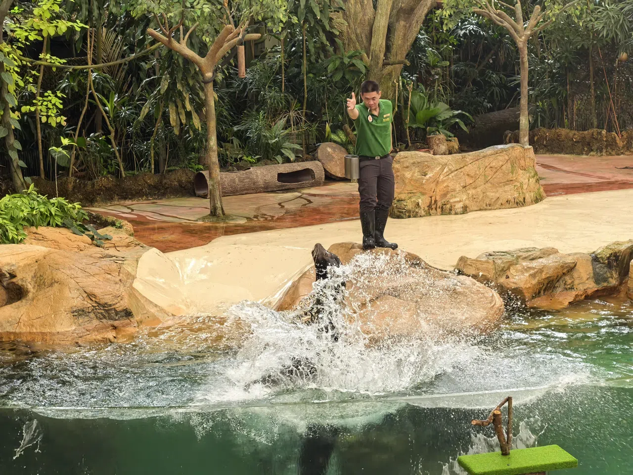 闪拍模式生动捕捉海狮从水中跃起的瞬间，溅起的水珠清晰可见，仿佛凝结在空中。（黄少伟摄）