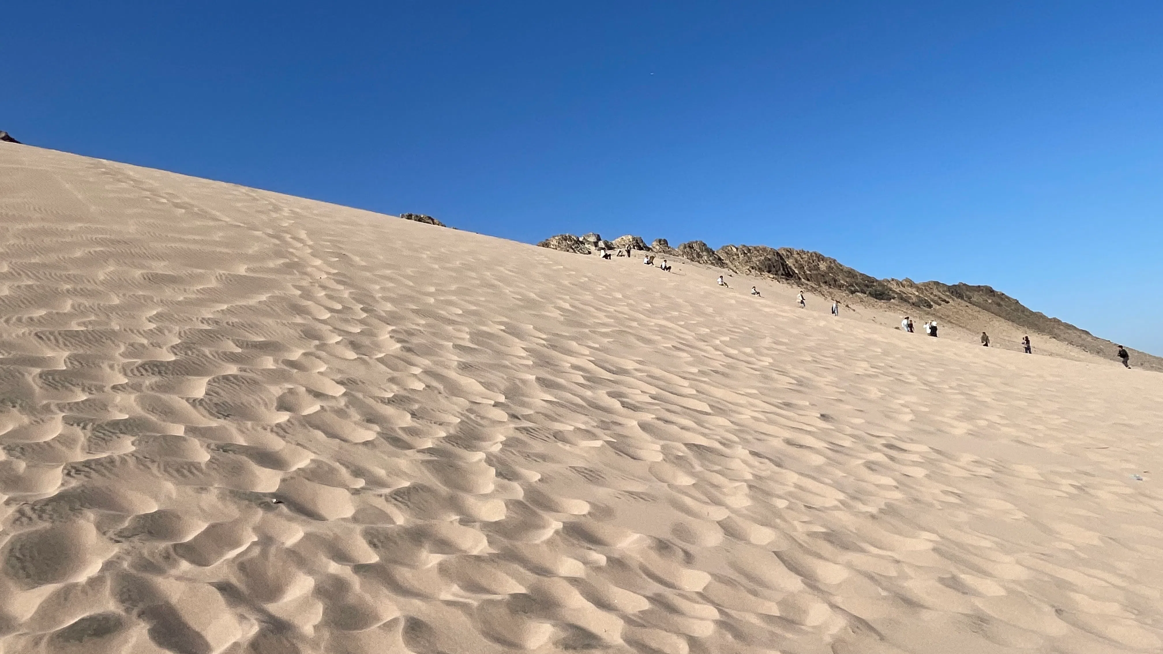 世界上最大的撒哈拉沙漠。（王华儿摄）