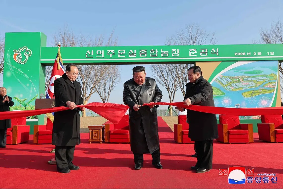 2月1日，金正恩（中）出席新义州温室综合农场竣工典礼并剪彩。（法新社）